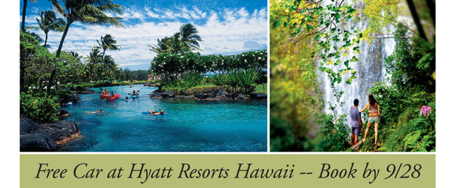 Car at Hyatt Resorts Hawaii