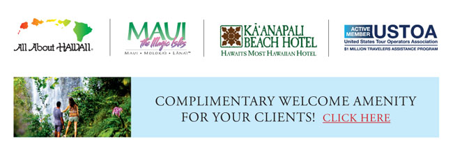 ALL ABOUT HAWAII / MVB / KAANAPALI BEACH HOTEL / USTOA