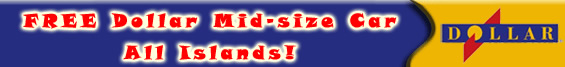 Free Dollar Mid-size banner